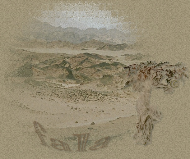 © 2005 photo by Carmen Ezgeta: pustinja Sinai - The Sinai Desert